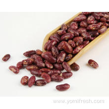 Kidney Beans Seeds